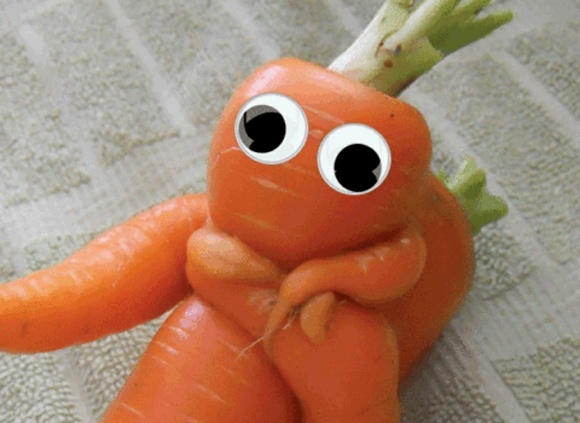 Meet your Posher, Melissa - Picture 1 of 1